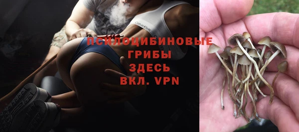 mix Новодвинск