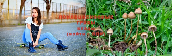 mix Новодвинск