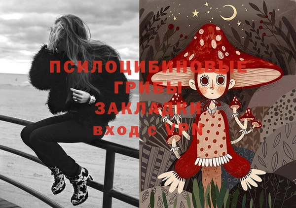 mix Новодвинск